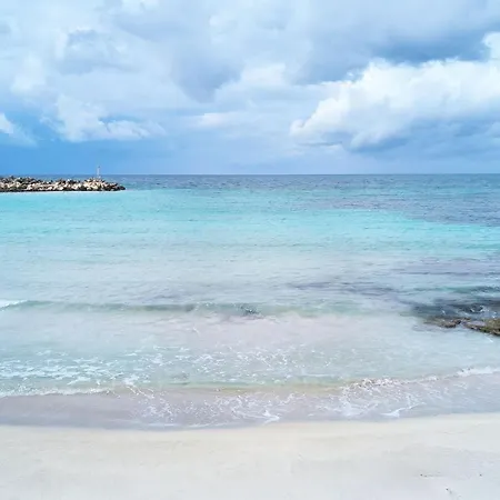 Euclide * Торре-Вадо