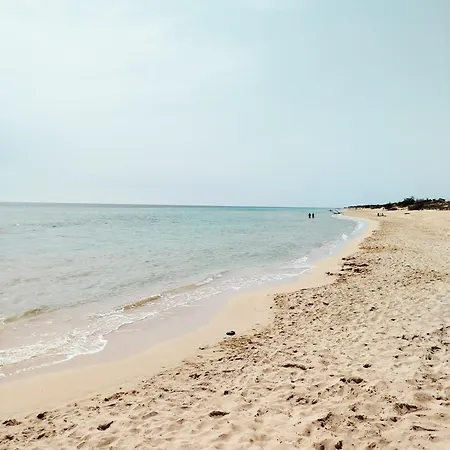 Euclide Апартаменты