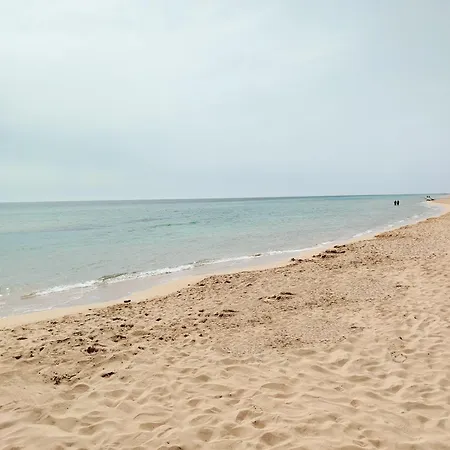 Апартаменты Euclide