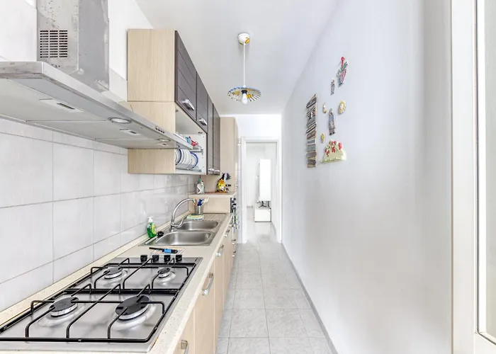 Euclide * 토레 바도