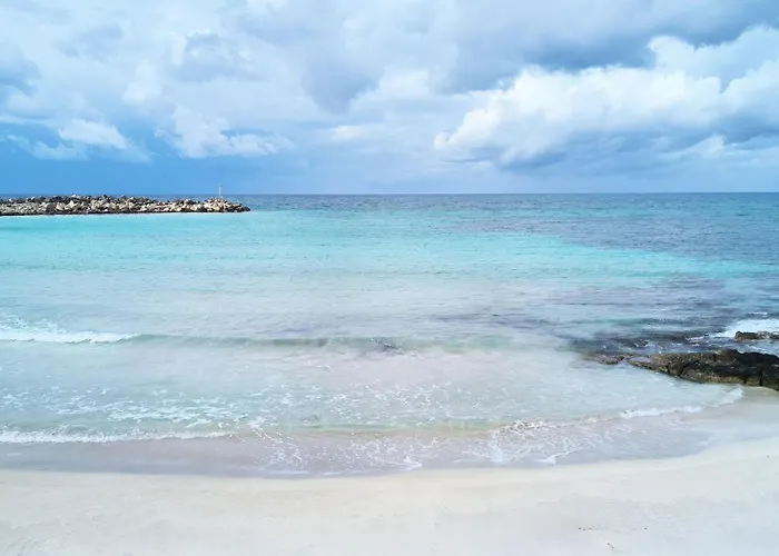 Euclide * 토레 바도